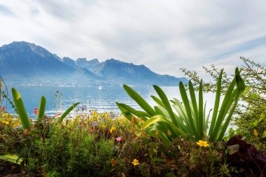Renkli çiçekler ve ağaçlarla dolu Montreux gezinti alanından Cenevre Gölü, İsviçre 'nin panoramik manzarası