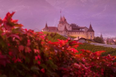Gün batımı, İsviçre, Vaud kantonundaki üzüm bağları arasında ünlü bir şato daigle manzarasını aydınlattı.