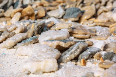 Ürdün 'deki Ölü Deniz tuz mineral doğal oluşum kristallerine yakın çekim