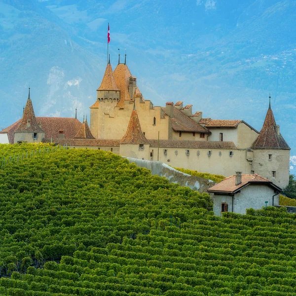Famous Castle Chateau Daigle Vineyards Canton Vaud Switzerland — Stock Photo, Image