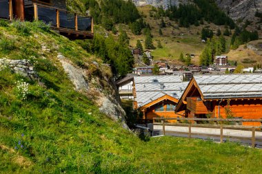 Zermatt, Alp köyü, İsviçre Alpleri, evler ve yeşil çam ağaçları