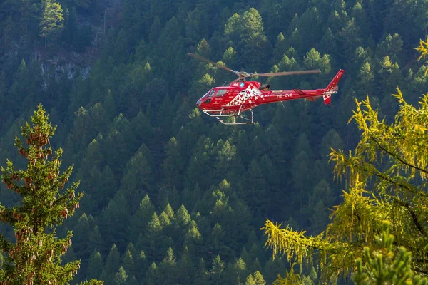 Zermatt Suiza Octubre 2019 Zermatt Helicóptero Rojo Pinos Fotos De Stock Sin Royalties Gratis