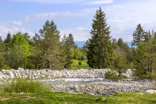 Bansko Bulgarien Frühlingslandschaft Mit Dem Fluss Glazne Grünen Bäumen Schneebedeckten — Stockfoto