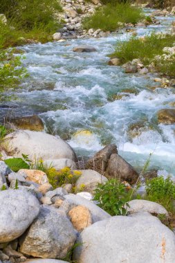 Yeşil ormanlı mavi nehir ilkbahar manzarası, Bansko, Bulgaristan