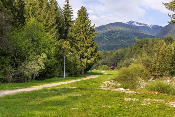 Lyžařská Cesta Bansko Bulharsko Jarní Krajina Zelenými Stromy Pirínskými Horami — Stock fotografie