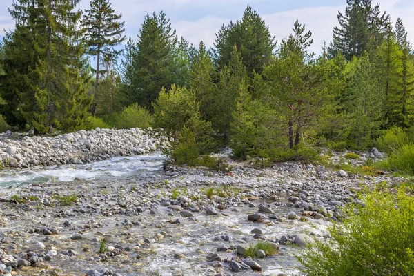 Blaue Flusslandschaft Mit Grünen Wäldern Bansko Bulgarien — Stockfoto