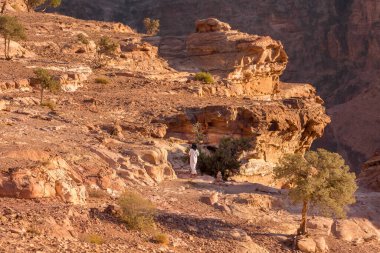 Petra, Ürdün - 3 Kasım 2022: Bedevi adam kumtaşı kanyonunda yürüyor, kaya oluşumları manzarası