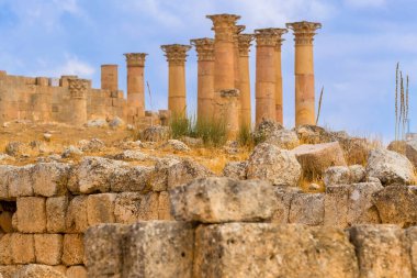 Jerash Gerasa, Jordan, ancient roman columns and ruins