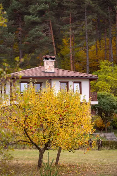 stock image Autumn landscape with traditional bulgarian house, colorful trees, Bulgaria Rhodope mountains