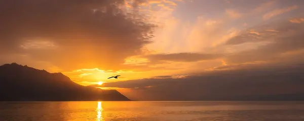 日内瓦湖 全景五彩缤纷的日落横幅 — 图库照片