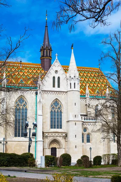 Parte Del Tetto Delle Torri Della Chiesa Mattia Budapest Ungheria — Foto Stock