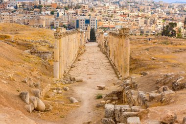 Jerash, Ürdün - 7 Kasım 2022: Cardo Maximus Colonnaded Caddesi, Antik Roma kenti Gerasa