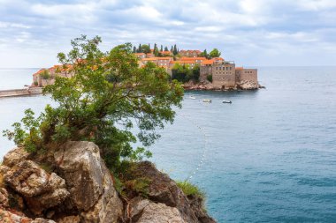 Karadağ 'ın Adriyatik Denizi kıyısındaki Sveti Stefan adası, kayadaki çam ağacı. Meşhur seyahat yeri