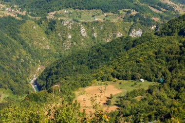 Durmitor dağları yaz havası manzarası, Ulusal Park, Karadağ. Yeşil ormanlar ve nehir