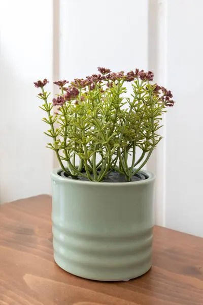 Masadaki saksıda yapay bitki çiçeği, iç tasarım.