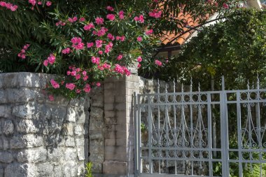 Karadağ 'da Adriyatik Denizi üzerine ev çiti ve pembe zakkum çiçeği süslemesi
