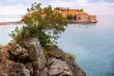Karadağ 'ın Adriyatik Denizi kıyısındaki Sveti Stefan adası, kayadaki çam ağacı. Meşhur seyahat yeri