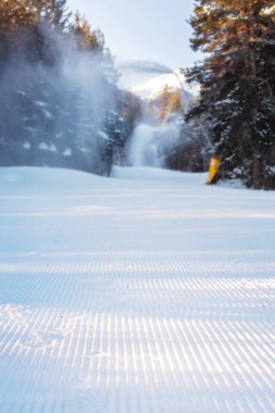 Bulgaristan 'ın Bansko kentinde yeni hazırlanmış kayak pisti yamacı ve dağılmış ormanın yakın plan perspektifi