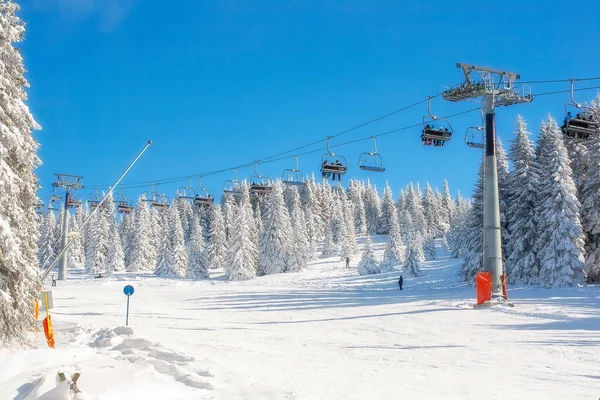 Sırbistan 'ın Kopaonik kayak beldesi Panorama, bayır, sandalye kaldırma ve karla kaplı ağaçlar