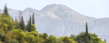Perast, Karadağ yazın panorama ve ağaçlara bakıyor