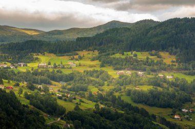 Norveç köyü, fiyort, yeşil orman dağları ve renkli evler, Norveç