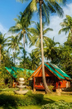 Tayland 'da Hindistan cevizi palmiyeleri ve bungalovları