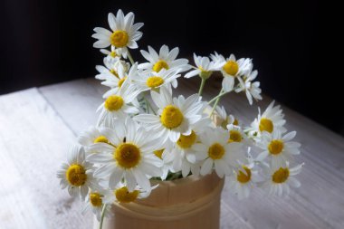 Beyaz papatyalar, papatya çiçekleri siyah arka planda ahşap fıçıda.