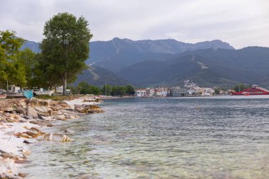 Yunanistan yaz tatili arka planında deniz suyu körfezi ve çam ağaçları, Thassos limanı ve feribot manzaralı kasaba manzarası