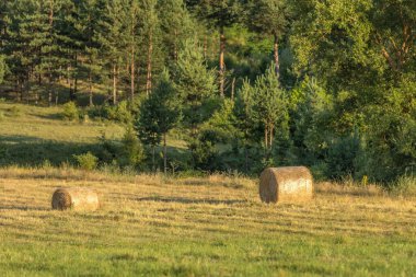 Samanlı tarlalar, ormanlı kırsal alanlar.
