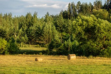 Samanlı tarlalar, ormanlı kırsal alanlar.
