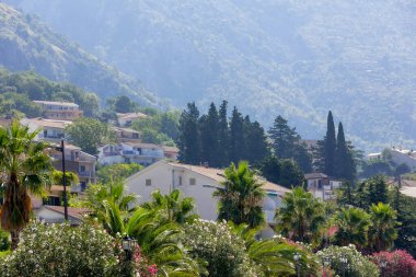 Kotor, Karadağ güzel yeşil ağaçlar manzaralı, evleri olan sokak manzaralı