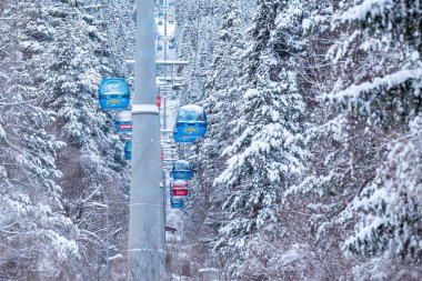 Bansko, Bulgaristan - 21 Ocak 2024: Mavi gondol asansör kulübeleri, kar ormanı çam ağaçları, dağ zirveleri manzaralı kış kayak merkezi manzarası