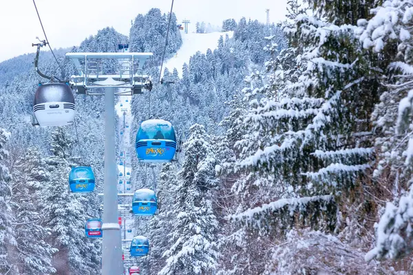 Bansko, Bulgaristan - 21 Ocak 2024: Mavi gondol asansör kulübeleri, kar ormanı çam ağaçları, dağ zirveleri manzaralı kış kayak merkezi manzarası