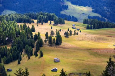 Alpe di Siusi, İtalya 'nın panoramik çayırları, sonbaharda Güney Tyrol' daki Dolomite platosunda Seiser Alm 'da ahşap kulübelerle birlikte görülüyor.