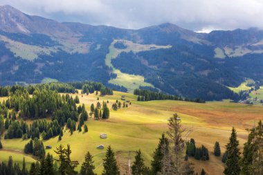 Alpe di Siusi, Italy aerial panoramic view with wooden cottages at Seiser Alm, Dolomite plateau in South Tyrol province in autumn clipart