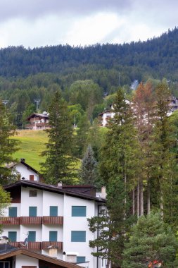 İtalya, Cortina d 'Ampezzo' nun güzel sonbahar manzarası. Alp evleri ve yeşil otlar.