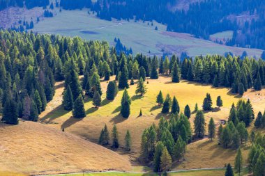 Alpe di Siusi, İtalya hava panoramik manzarası Seiser Alm, Dolomite plato, Güney Tyrol 'da sonbaharda