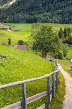 Santa Maddalena ya da Magdalena köyünde yürüyüş yolu, Val di Funes vadisi, İtalya yazın