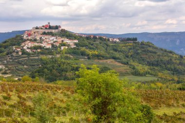 Hırvatistan 'ın Istria kentindeki Motovun köyü ve üzüm bağlarının manzarası