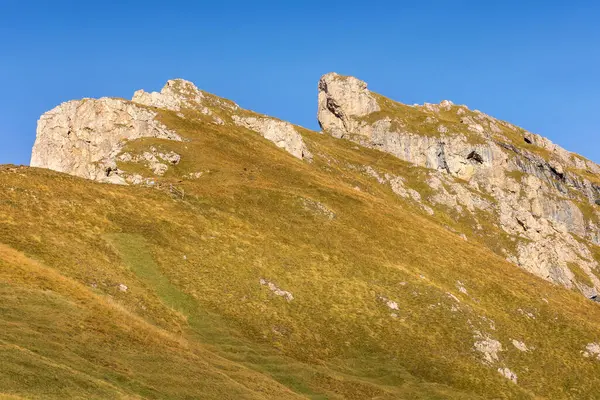 İtalya, Seceda sonbahar dağ manzarası, Odle grubunun ayağı, Val Gardena Ortisei kasabası yakınlarında.