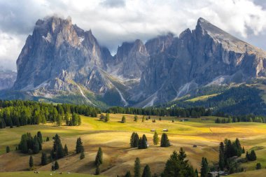 Dolomites Alpe di Siusi, Italy beautiful scenery, natural autumn landscape with house, Sasso Lungo mountain and meadows clipart