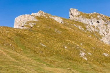 İtalya, Seceda sonbahar dağ manzarası, Odle grubunun ayağı, Val Gardena Ortisei kasabası yakınlarında.