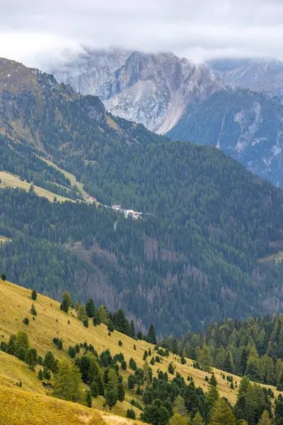 Sella Geçidi 'nden sonbahar manzarası, İtalyan Alpleri, Dolomitler, Güney Tyrol, Trentino, İtalya