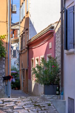 Rovinj, Hırvatistan Rovinj 'in tarihi eski kasabasında renkli binaları olan büyüleyici dar bir cadde