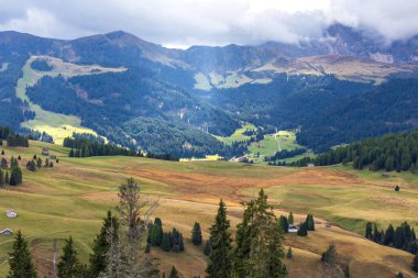 Dolomitler, Alpe di Siusi veya Seiser Alm 'deki geleneksel ahşap kulübelerle yeşil kayan tepelerin panoramik manzarasına sahipler.