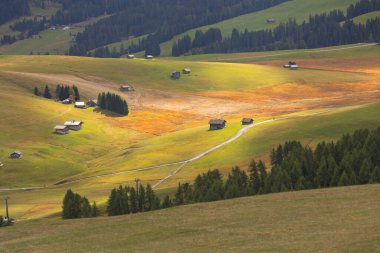 Dolomitler, Alpe di Siusi veya Seiser Alm 'deki geleneksel ahşap kulübelerle yeşil kayan tepelerin panoramik manzarasına sahipler.