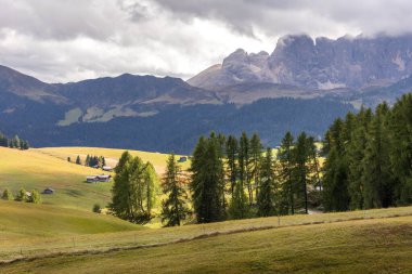 Dolomitler Alpe di Siusi, İtalya güzel manzara, evle doğal sonbahar manzarası, Sasso Lungo dağı ve çayırlar