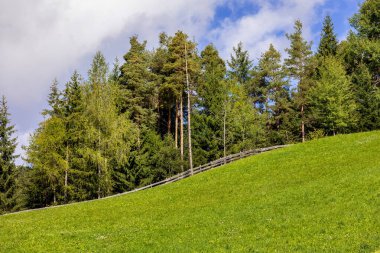 Yeşil ağaç arka planı, güzel manzara, Avrupa, İtalyan Alpleri
