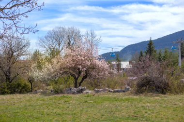 Bansko, Bulgaristan - 3 Nisan 2024: Otel ve teleferik kulübeleriyle bahar manzarası