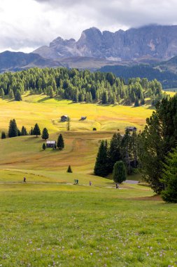 Dolomitler Alpe di Siusi, İtalya güzel manzara, evle doğal sonbahar manzarası, Sassolungo dağı ve çayırlar